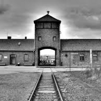 AUSHWITZ & BIRKENAU