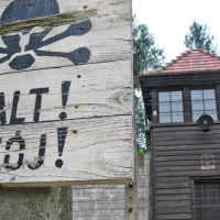 AUSHWITZ & BIRKENAU