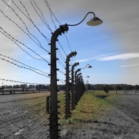 AUSHWITZ & BIRKENAU