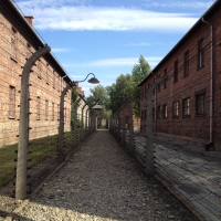 AUSHWITZ & BIRKENAU