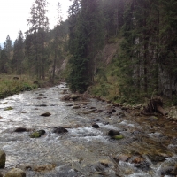 Zakopane